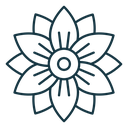 Hypericum icon