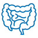 Intestine icon
