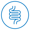 Intestine icon