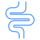 Intestine Coil Loop Color Outline icon