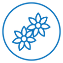 Jasmine icon