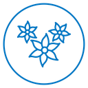 Jasmine Flowers icon