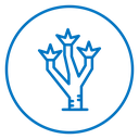 Joshua tree 2 icon