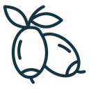 Jujube icon
