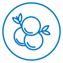 Juniper icon