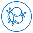 Juniper icon