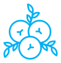 Juniper icon
