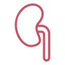 Kidney icon