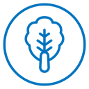 Kimchi 2 icon