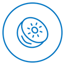 Kiwi 2 icon