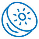 Kiwi 2 icon