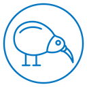Kiwi bird 2 icon