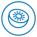 Kiwi Fruit Slice icon