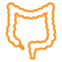 Large intestine icon