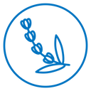 Lavender icon