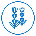 Lavender Color Outline icon