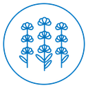 Lavender Flowers icon