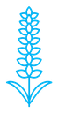 Lavender icon