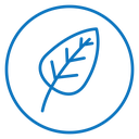 Leaf icon