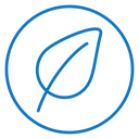 Leaf 2 icon