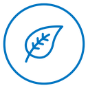 Leaf Color Outline icon
