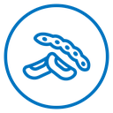 Legume icon