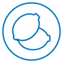 Lemon icon