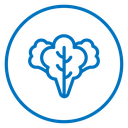 Lettuce 2 icon