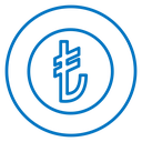 Lira sign 2 icon