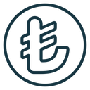 Lira sign icon