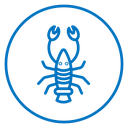 Lobster icon