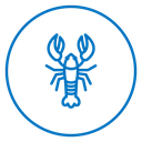 Lobster 2 icon
