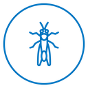 Locust 2 icon
