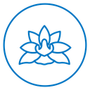 Lotus Flower icon