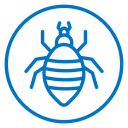 Louse icon