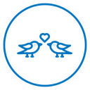 Lover birds icon