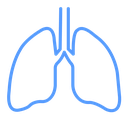 Lung icon