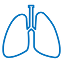 Lung icon