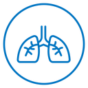 Lung icon