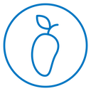 Mango icon