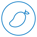 Mango 2 icon