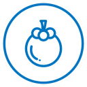 Mangosteen icon