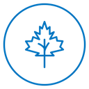 Maple Leaf 3 icon