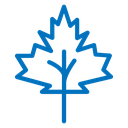 Maple Leaf 3 icon