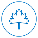 Maple Leaf icon