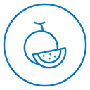Melon 3 icon
