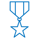 Military medal icon