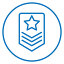 Military rank badge icon