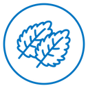 Mint icon