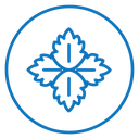Mint icon